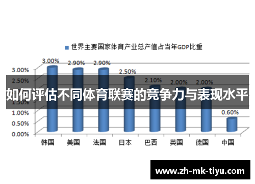 如何评估不同体育联赛的竞争力与表现水平